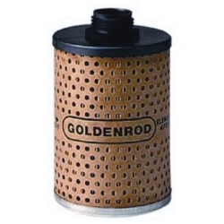 Goldenrod_470_5.jpg