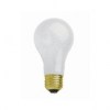 /75_A_SS_BULBS_51926483b5752