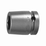 Apex_8136_D