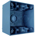 Appleton_WDP250