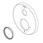 Brizo_RP100622SL