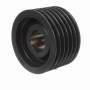 Browning_1002435