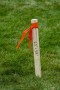 C_H_Hanson_17021_1