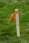 C_H_Hanson_17022_1