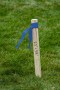 C_H_Hanson_17023_1