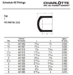 Charlotte_PVC_02116_0600_2