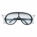 Crews_Glasses_81110