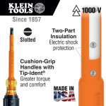 Klein_601_4_INS