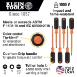 Klein_85076INS_1