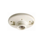 Leviton_49875