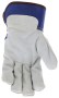 MCR_Safety_1400HL_1