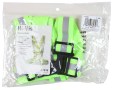MCR_Safety_HVS18_2