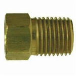 MIM_12038