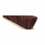 Magnolia_Brush_1424