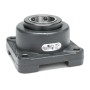 Moline_Bearing_19311060