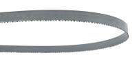 Morse_5654