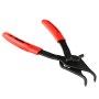Proto_J371_4