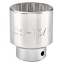 Proto_J5558