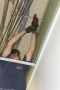 Reed_03320