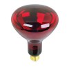 /bul250r4010